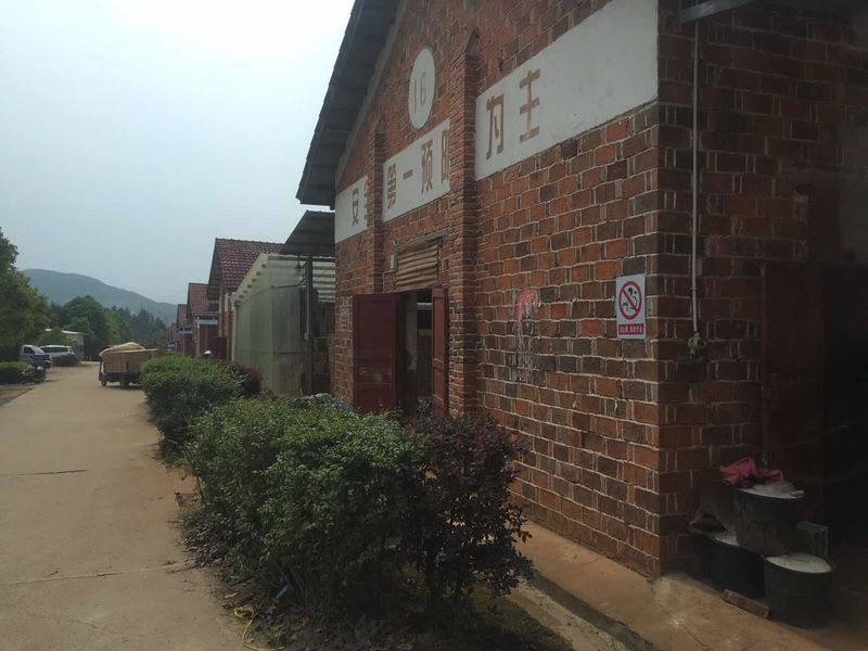 China Liuyang Mandarin Fireworks Co., Ltd. Unternehmensprofil