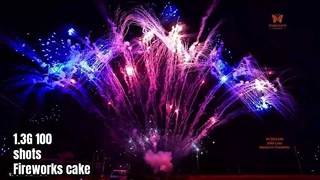 Liuyang 100 Shot Professional Display Feuerwerkskuchen 1,3G UN0335 Pyrotechnik