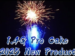 200 Schüsse 1.4G Pro-Kuchenfeuerwerk Weihnachtsfeierlichkeiten 1000G Feuerwerk Pyrotechnik