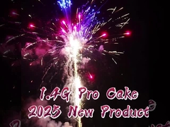 2025 Feuerwerk 1.4 Pro Kuchen Feuerwerk 200 Schüsse Neues Produkt Kuchen Mandarin Pyrotechnik