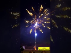 100 Schüsse Outdoor Cake Feuerwerk Fabrik Großhandel, Liuyang Feuerwerksanbieter