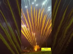 Fabrik Großhandel Super-Pyrotechnik für Neujahrsfeuerwerk1.3g Un0335 Professionelles Kuchenfeuerwerk 2