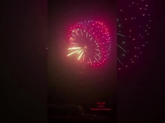 Fabrik Liuyang Mandarin Pyrotechnik Schale Feuerwerk 6 Zoll professionelle Schalen Feuerwerk