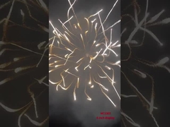 Profi-Anzeige Feuerwerk Mörser Artillerie Schalen Pyrotechnik Vorräte 6 Zoll Anzeige Schalen