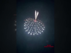 Fabrik 6'' Profi-Anzeige Feuerwerk Shell Pyrotechnik-Versorgung 1,3 g Un0335 Pyrotechnik