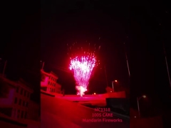 Mandarin-Professionelle Feuerwerkstücke Kuchen 100 Schüsse 1.3G Pyrotechnik Feuerwerk & Feuerwerkskörper
