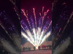 Liuyang Feuerwerk Pyrotechnik professionelle Anzeige Feuerwerk 1,3 g Kuchen Feuerwerk