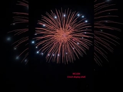 Chinesische professionelle Schale Feuerwerk Pyrotechnik 6 Zoll Schale Kugeln