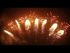 Mandarinen-Feuerwerks-Pyrotechnik 65 Schuss-fächerförmige Feuerwerke