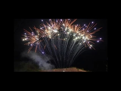 Pyrotechnik der Mandarinen-1.3g 13 Schuss-professionelle einzelne Reihen-Feuerwerke