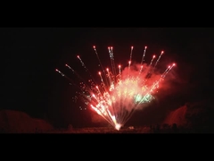 Chinesische Pyrotechnik auf individuelle Anzeige Professionelles Kuchenfeuerwerk 1,3 g 100 Schüsse