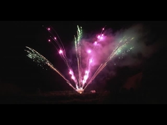 Chinesische Pyrotechnik im Freien 300 Schüsse Professionelles Feuerwerk Anzeige 1,3 g Ventilator