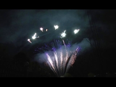 Mandarin 90 Schüsse Salute Pyrotechnik Professionelle Kuchen Feuerwerk für die Party