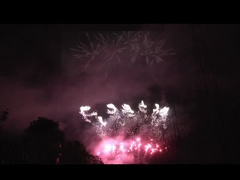 Liuyang 56 Schüsse Professionelles Feuerwerk Display 1.3g Un0335 Für die Feier des Festivals