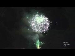 AFSL Anpassungsfähige 100 Schüsse Professionelle Kuchenfeuerwerk für die Feier des Festivals