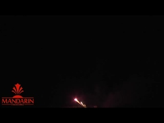 Pyrotechnik Mandarin Namen von Feuerwerk Display professionelle Kuchen Salute Pyrotechnik 100 Schüsse