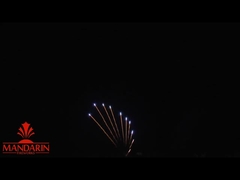 200 Schüsse Professionelles Feuerwerk Display