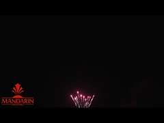 1.3g Un0335 Professionelle Feuerwerksanzeige / 100 Schüsse Kuchenfeuerwerk für Neujahr