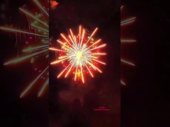 2025 Mandarin Pyrotechnik 3 4 5 6 Zoll professionelles Feuerwerk Schale Feuerwerk 1.3g
