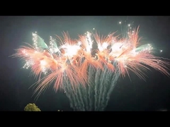 Chinesische Kuchenfeuerwerk Art Festival Feier Pyrotechnik Außenfeuerwerk 2024