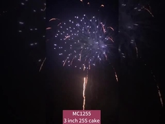 Chinesische 25 Schüsse Kuchen Feuerwerk Pyrotechnik zum Feiern