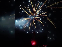 138 Schuss Farbenfrohe Verbraucherkuchen Feuerwerk für Feierlichkeiten Outdoor-Großkuchen Feuerwerk