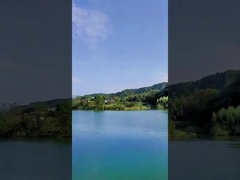 Tageszeit 49 Schuss-chinesische Kuchen-Feuerwerke färbte Rauch-Feuerwerke für Feier