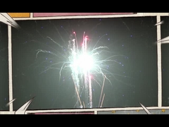 98 Schuss-Spezialeffekte backen Feuerwerke 2022 allgemeine Markt-Feuerwerke zusammen