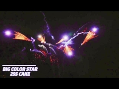 25 Schüsse Verbraucherkuchen Feuerwerk Ventilator Form Pyrotechnik 1.4g Un0336