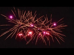 Außen 20 Schüsse Feier Kuchen Pyrotechnik Ventilator geformt angepasst 1.4g