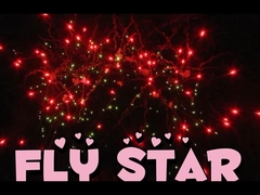 Chinesische Feuerwerkskörper für Kuchen 25 Schüsse 500G Pyrotechnik