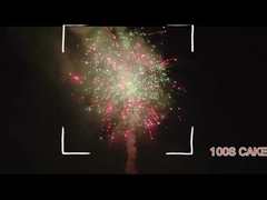 Mandarin Konsumenten Gruß Hunan Feuerwerk Pyrotechnik 100 Schuss Kuchen Feuerwerk