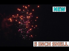 Liuyang Custom Pyrotechnisches chinesisches Feuerwerk im Freien 5 Zoll Feuerwerk Schal