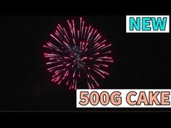 Pyrotechnisches Supergroßes 500G 9 Schüsse Kuchenfeuerwerk zum Feiern Feuerwerk