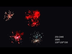 2021 Neues hochwertiges Chinesisch 16 Schüsse 200g Verbraucherkuchen Feuerwerk für die Feier Party