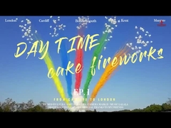 Mandarin-Pyrotechniken Tagessalutkuchen Feuerwerk 49 Schüsse