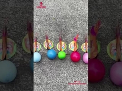 China Fabrik Kinder Feuerwerk Liuyang Schwan Eier legen Feuerwerk Neuheit lustiges Spielzeug Feuerwerk für Ch