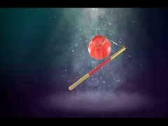 Linternen Rotes Spielzeug Feuerwerk, Neujahr Schönes Feuerwerk Salute