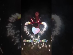 Festival Toy Fireworks Magic Butterfly Fireworks im Freien 1.4G 0336 für Feier