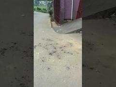 Magische Kugeln Spielzeugfeuerwerk 0.03CBM Umweltschutz für Feiertagsversammlungen