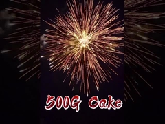 Feuerwerk Liuyang Pyrotechnik 2 Zoll 12 Schüsse 500g Verbraucherkuchen Feuerwerk zum Feiern