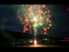 Mandarin Feuerwerk 1.3g Un0335 Pyrotechnik Professionelle Schau Kuchen Feuerwerk im Freien