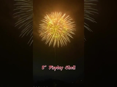 Festivals und Feierlichkeiten 2 