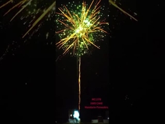 Liuyang Pyrotechnik FAFBWL 168 Schüsse Großhandel Großkuchen Feuerwerk 2025 Neues Feuerwerk