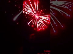Liuyang 1.3g Un0335 Feuerwerk 4' Inch Display Schalen Feuerwerk professionelle Pyrotechnik Schalenkugeln
