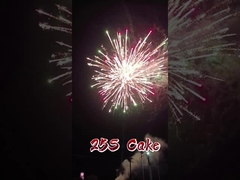 Liuyang Mandarin Fabrik Großhandel Papierfeuerwerk 1,4 g Pyrotechnik 2 Zoll 25 Schüsse Kuchenfeuerwerk