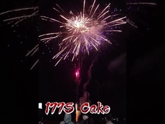 Großhandel Mandarin Feuerwerk Pyrotechnik 177 Schüsse Verbraucher Großkuchen Feuerwerk Neues Feuerwerk