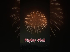 Liuyang Hochwertige 1.3G Profi-Mörser Pyrotechnische Anzeige Artillerie Granaten Feuerwerk