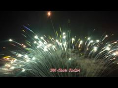 300 Schüsse Anpassbares Kuchenfeuerwerk Outdoor 1.3G Professionelles buntes Tagesfeuerwerk