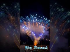 Fabrik 0,8 Zoll 300 Schüsse 1.3g professionelle Kuchen Feuerwerk Display Feuerwerk Pyrotechnik Salute